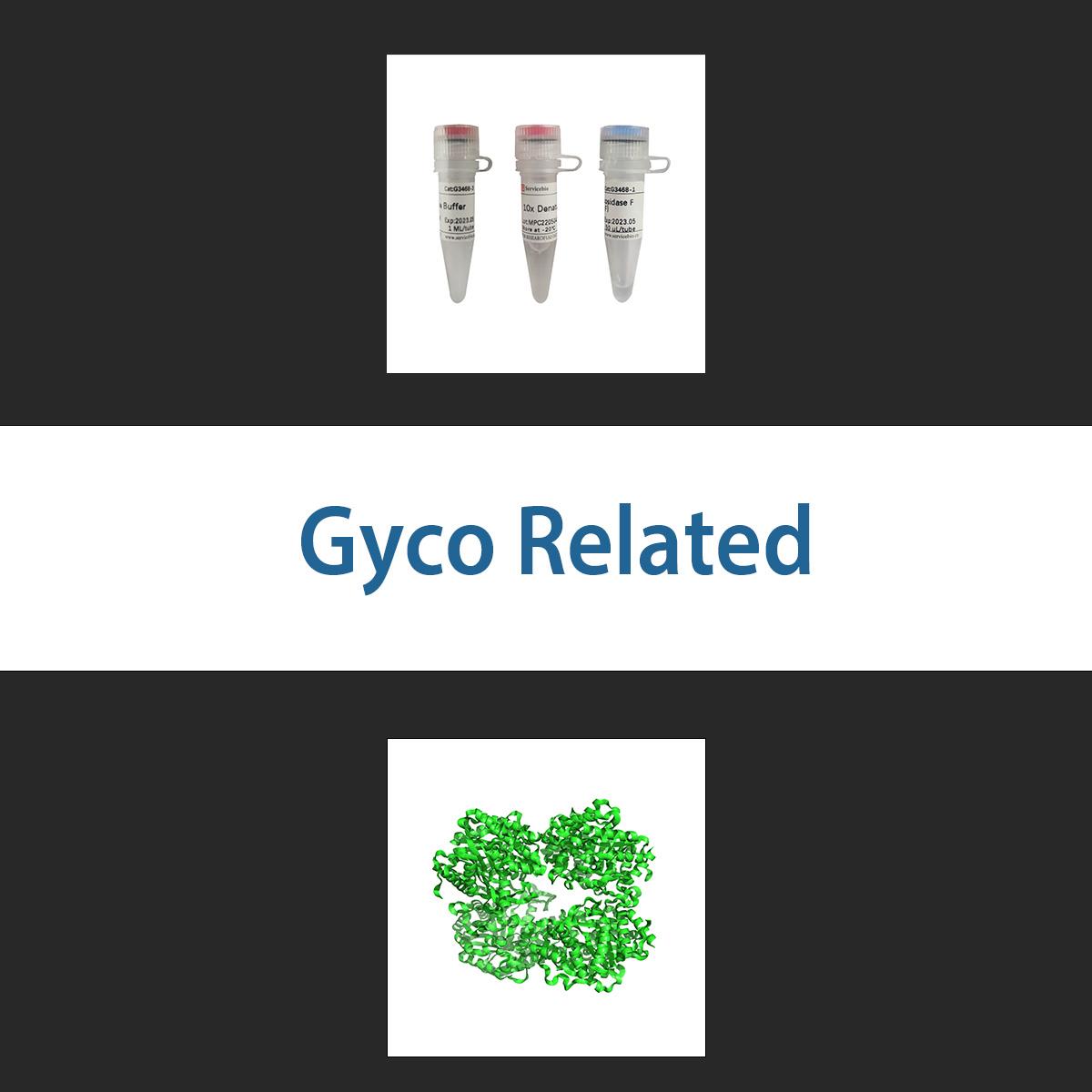 /Content/Upload/Product/glycorelated_1200.jpg