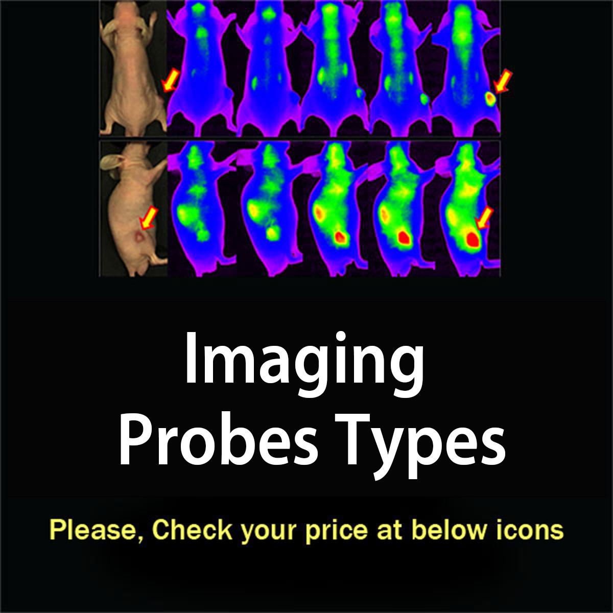 /Content/Upload/Product/imagingprobestypes_1200.jpg