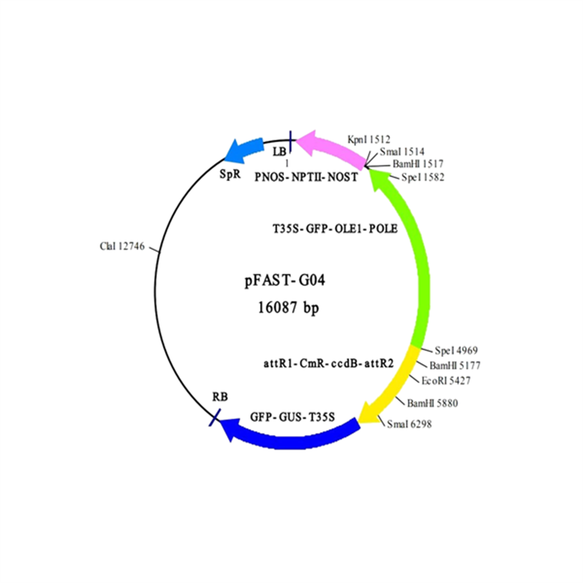 /Content/Upload/Product/in3-vec34_1200_1200_1.png