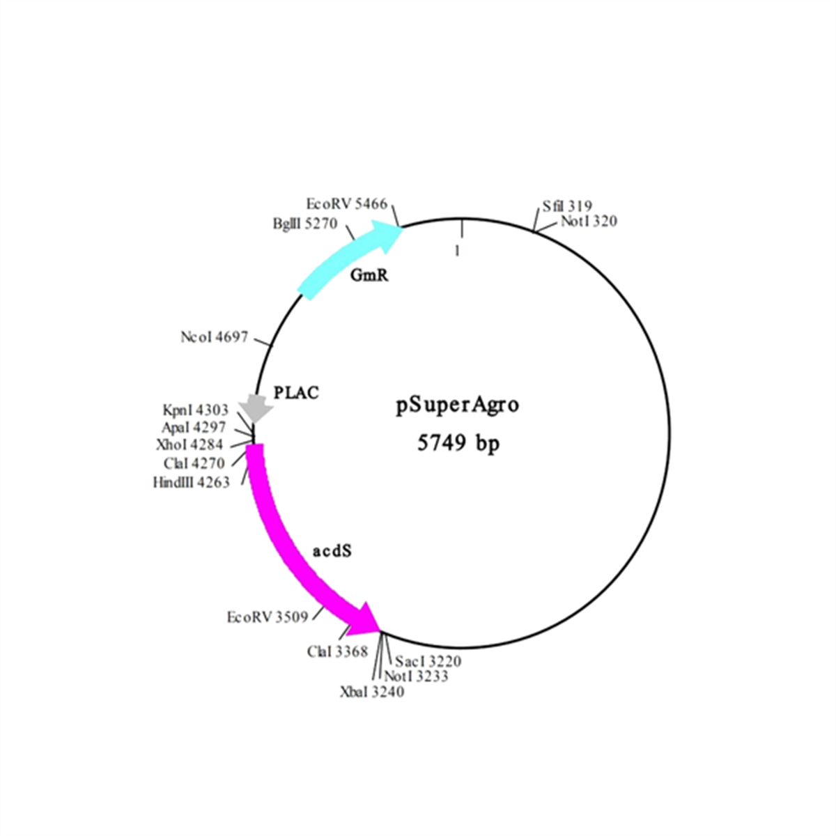 /Content/Upload/Product/in3vec101_fig1_1200_1200_1.png