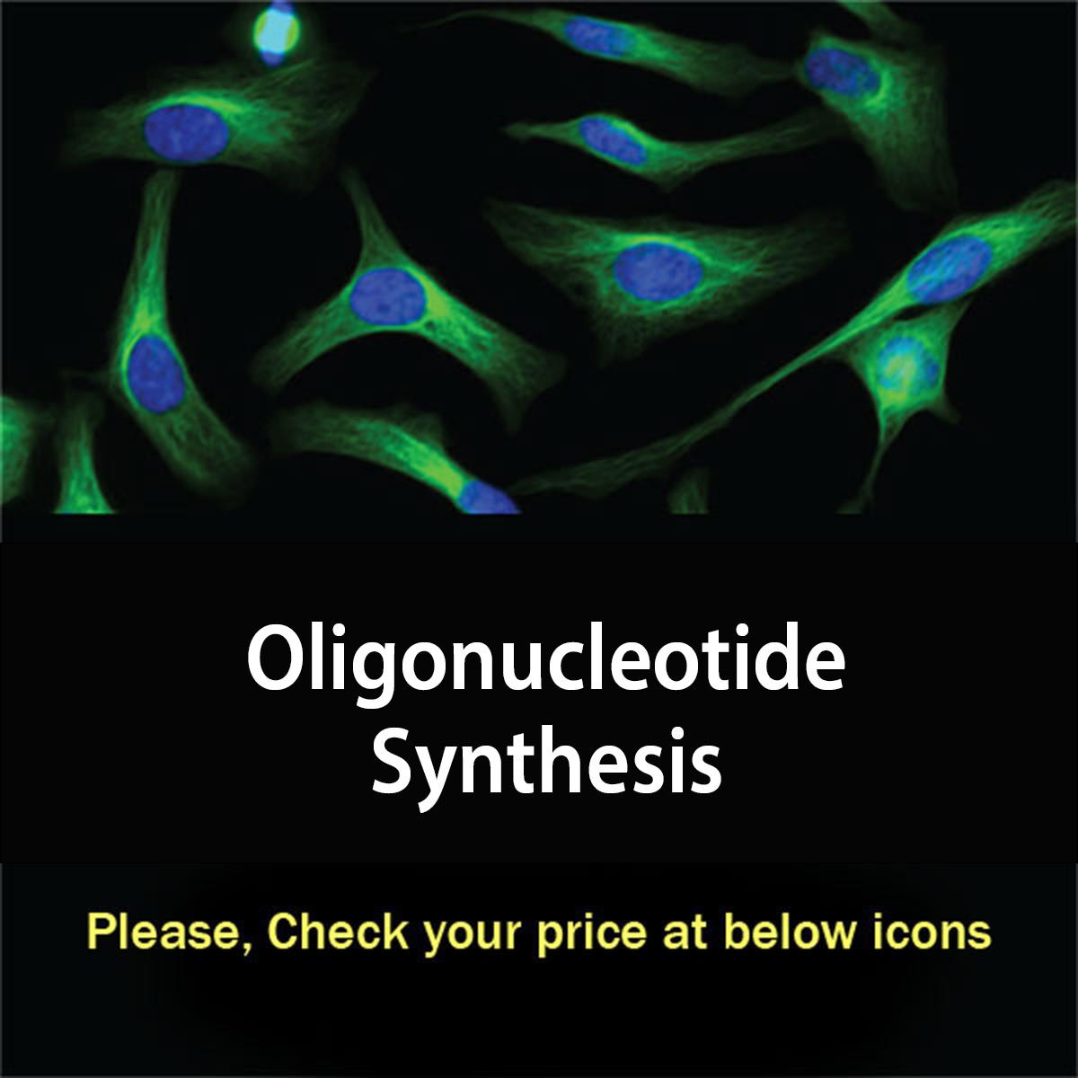 /Content/Upload/Product/oligonucleotidesynthesis_1200.jpg