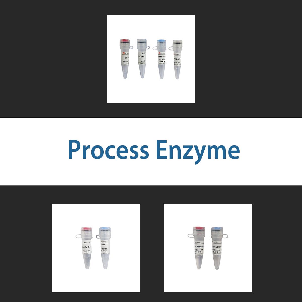 /Content/Upload/Product/processenzyme_1200.jpg