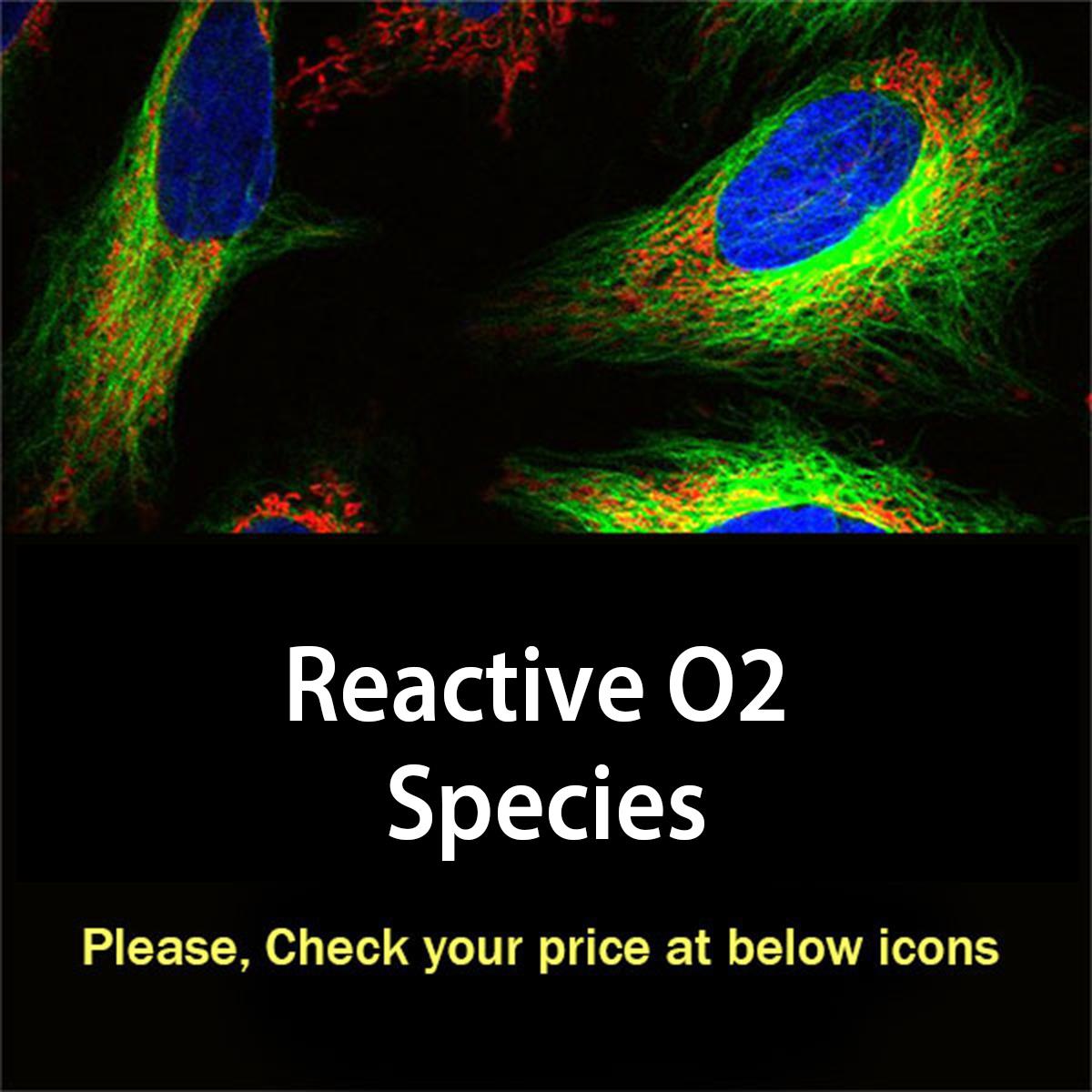 /Content/Upload/Product/reactiveo2species_1200.jpg