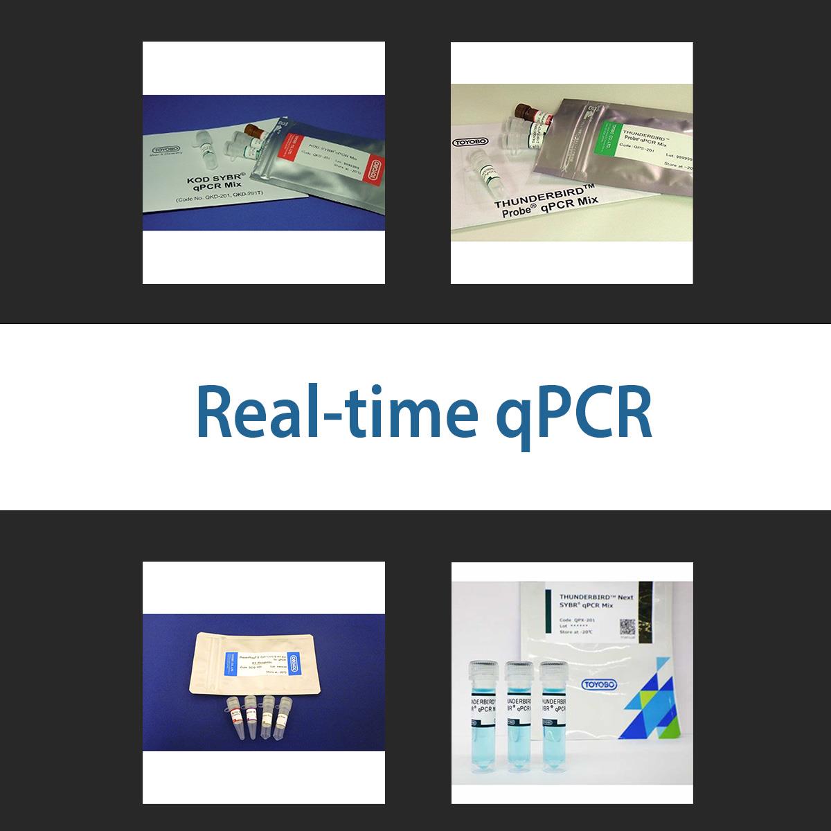 /Content/Upload/Product/realtimepcr_1200.jpg