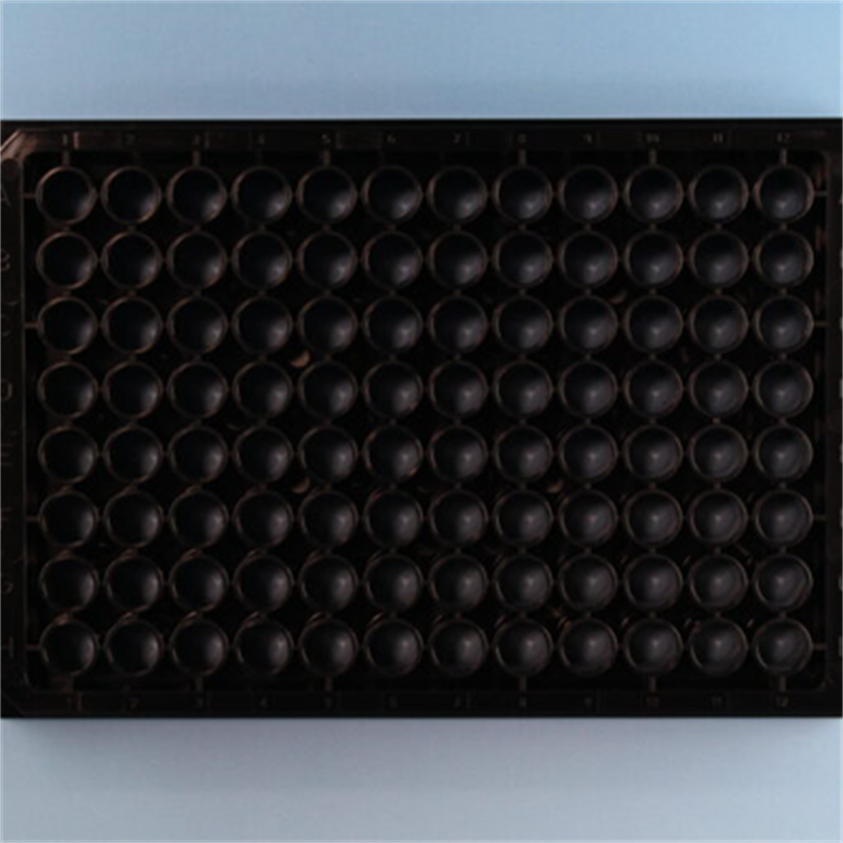 /Content/Upload/Product/sokonashi_micro_plate-11-600_1200_1_1200_1.png