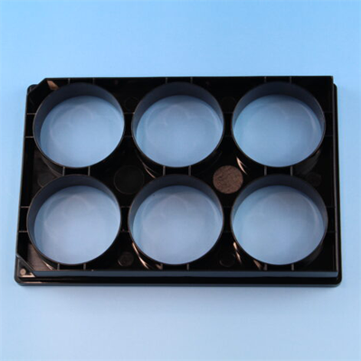 /Content/Upload/Product/sokonashi_micro_plate-4-600_1200_1200.png