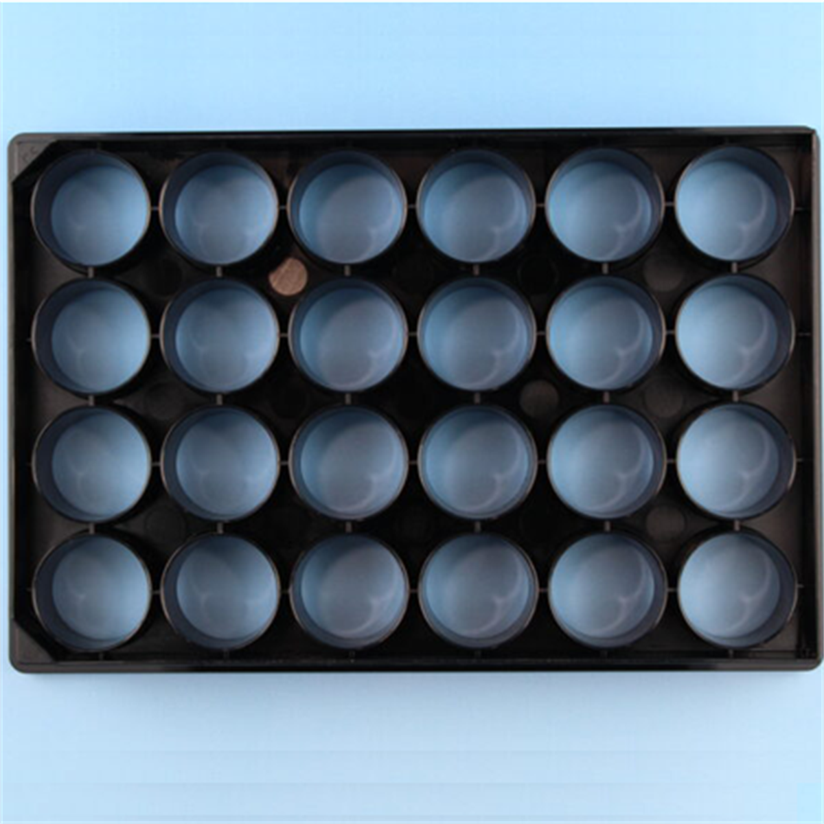 /Content/Upload/Product/sokonashi_micro_plate-7-600_1200_1_1200_1.png