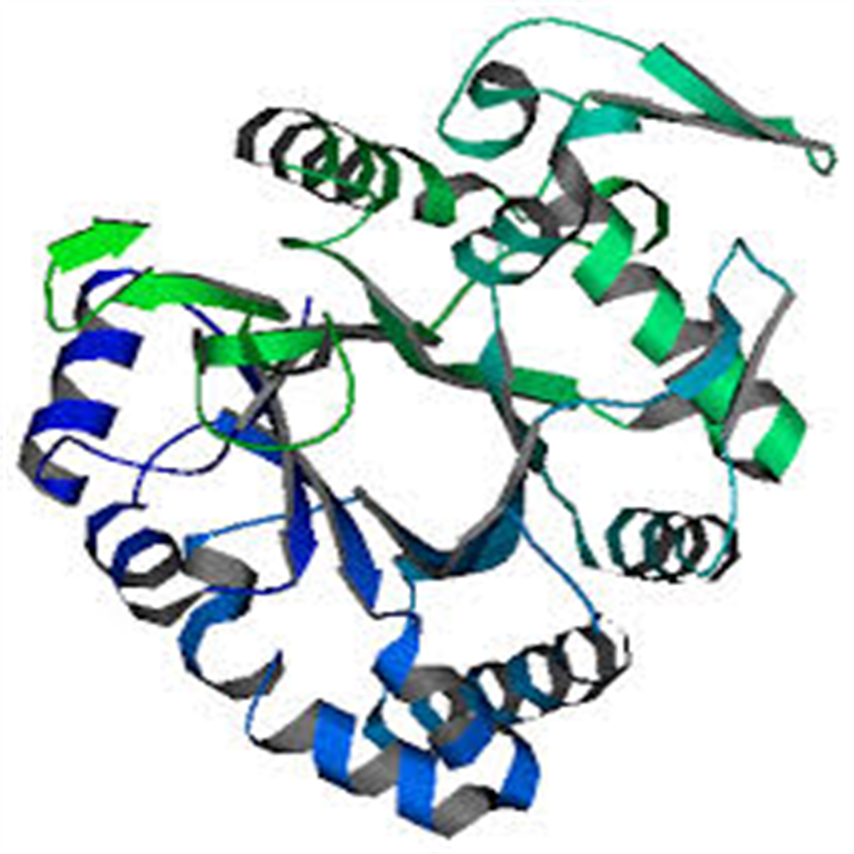 /Content/Upload/Product/β-1_3-Glucanase_B_1200.png